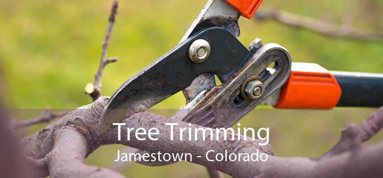 Tree Trimming Jamestown - Colorado
