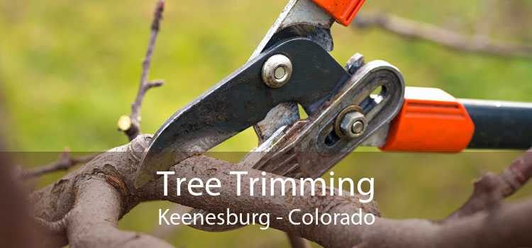 Tree Trimming Keenesburg - Colorado