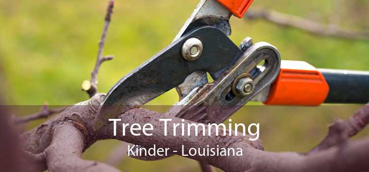 Tree Trimming Kinder - Louisiana