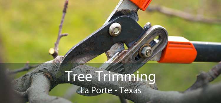 Tree Trimming La Porte - Texas