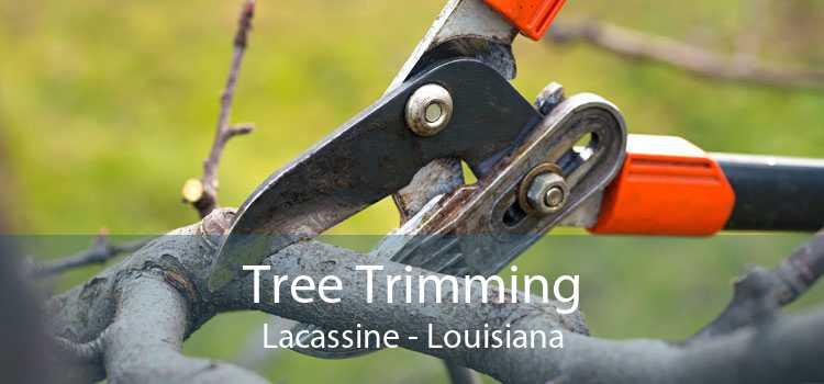 Tree Trimming Lacassine - Louisiana