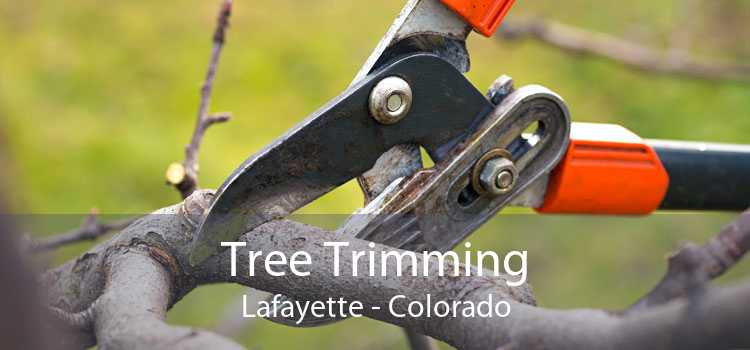 Tree Trimming Lafayette - Colorado