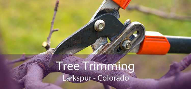 Tree Trimming Larkspur - Colorado
