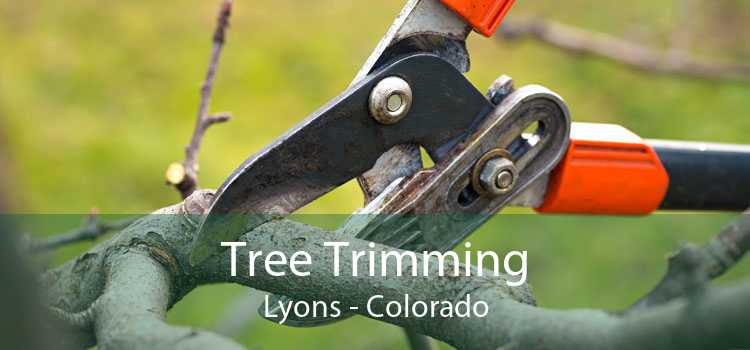 Tree Trimming Lyons - Colorado