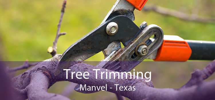 Tree Trimming Manvel - Texas