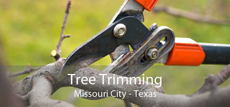Tree Trimming Missouri City - Texas