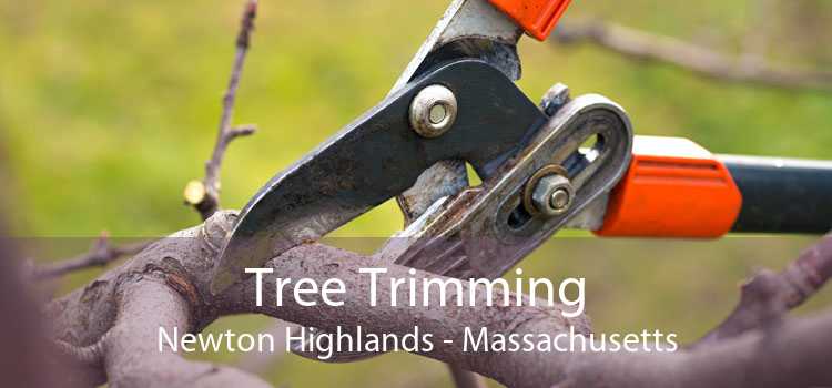 Tree Trimming Newton Highlands - Massachusetts