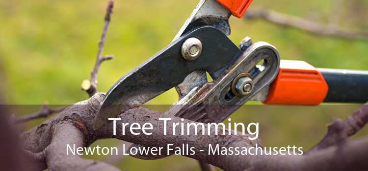 Tree Trimming Newton Lower Falls - Massachusetts