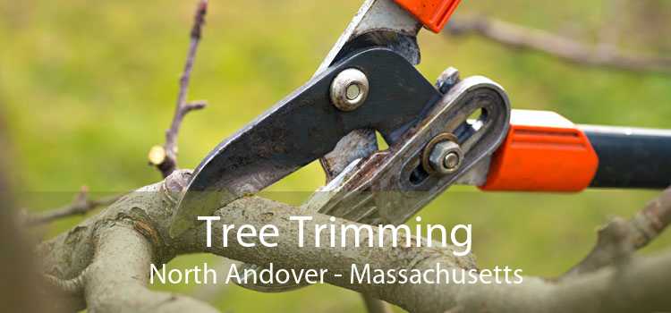 Tree Trimming North Andover - Massachusetts