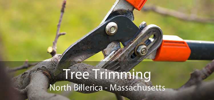 Tree Trimming North Billerica - Massachusetts