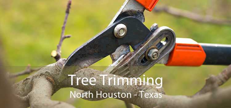 Tree Trimming North Houston - Texas