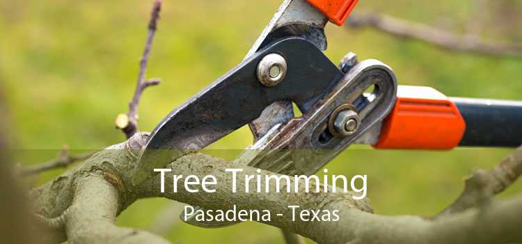 Tree Trimming Pasadena - Texas