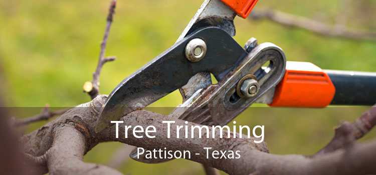 Tree Trimming Pattison - Texas