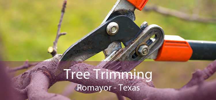 Tree Trimming Romayor - Texas
