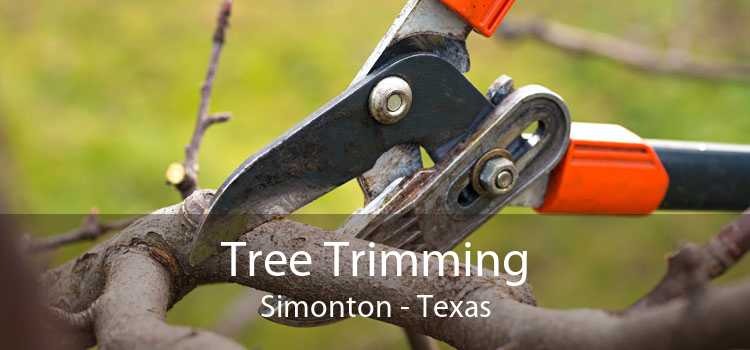 Tree Trimming Simonton - Texas