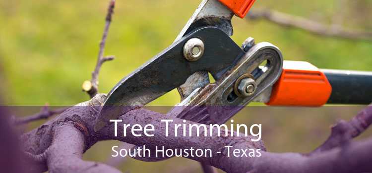 Tree Trimming South Houston - Texas