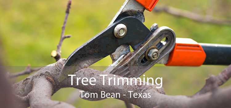 Tree Trimming Tom Bean - Texas