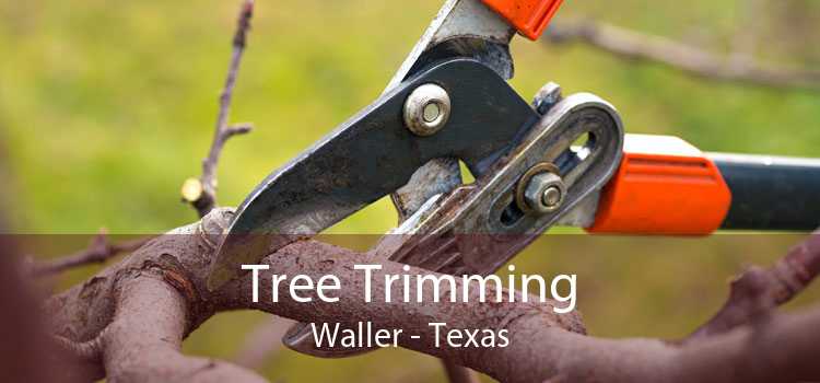 Tree Trimming Waller - Texas