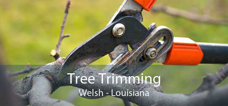 Tree Trimming Welsh - Louisiana