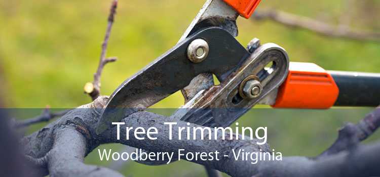 Tree Trimming Woodberry Forest - Virginia