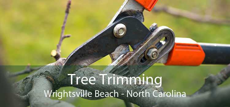 Tree Trimming Wrightsville Beach - North Carolina